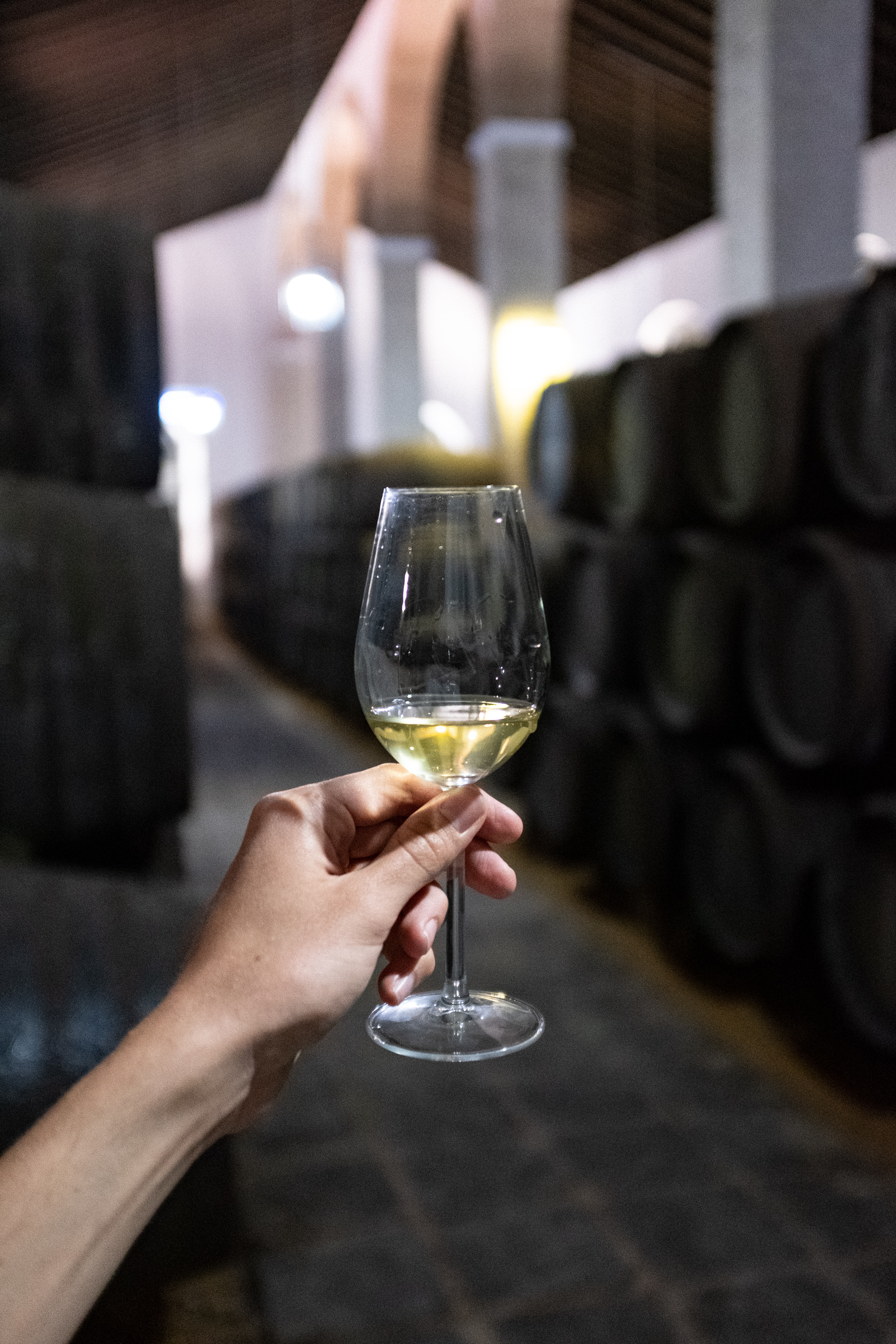 Sherry Seasoning Process - DO Certified