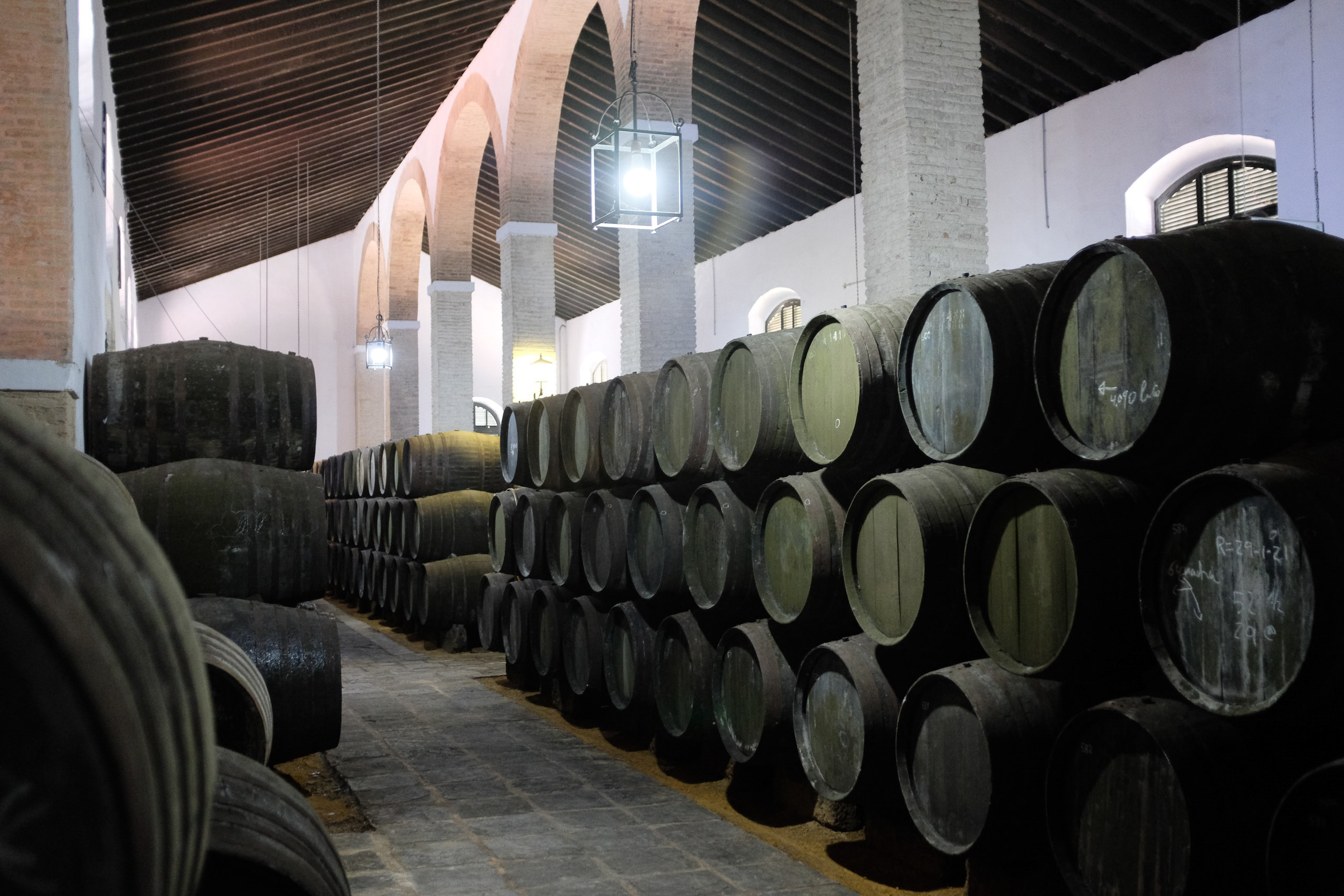 Spanish Barrel Aging Rooms - Atmospheric Lighting & Craftsmanship