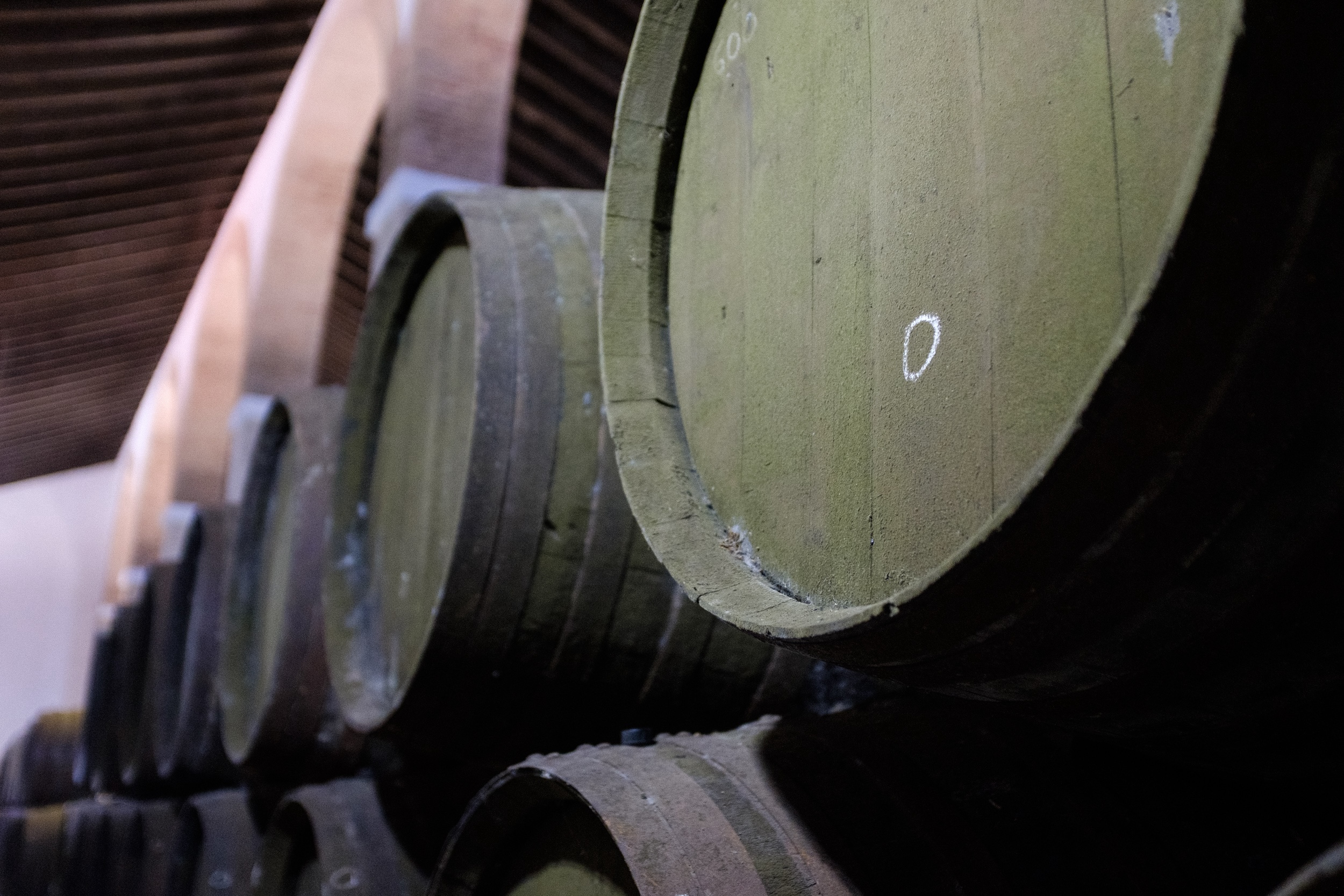 Craft Beer Aging in Sherry Barrels - Premium Barrel-Aged Beer Production