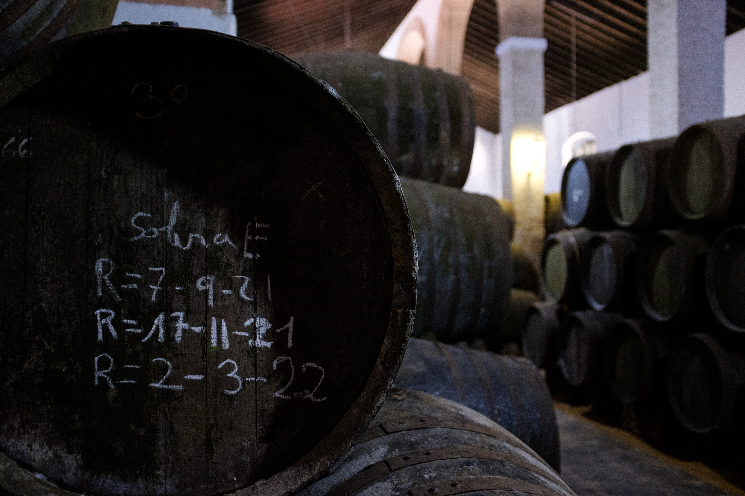 Premium Rum Aging in Sherry Barrels - Caribbean Rum Maturation