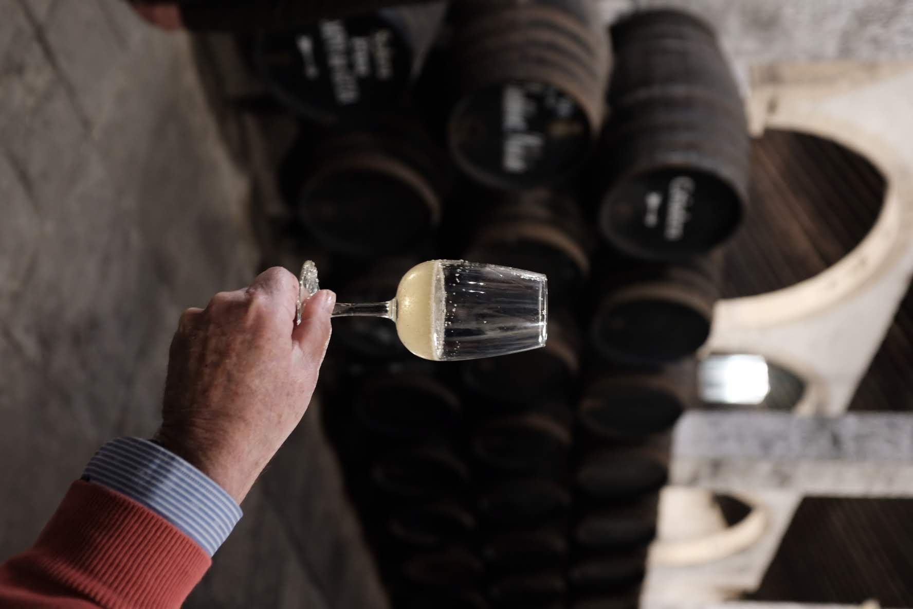 Tequila Laboratory - Maturation Analysis - Quality Assessment