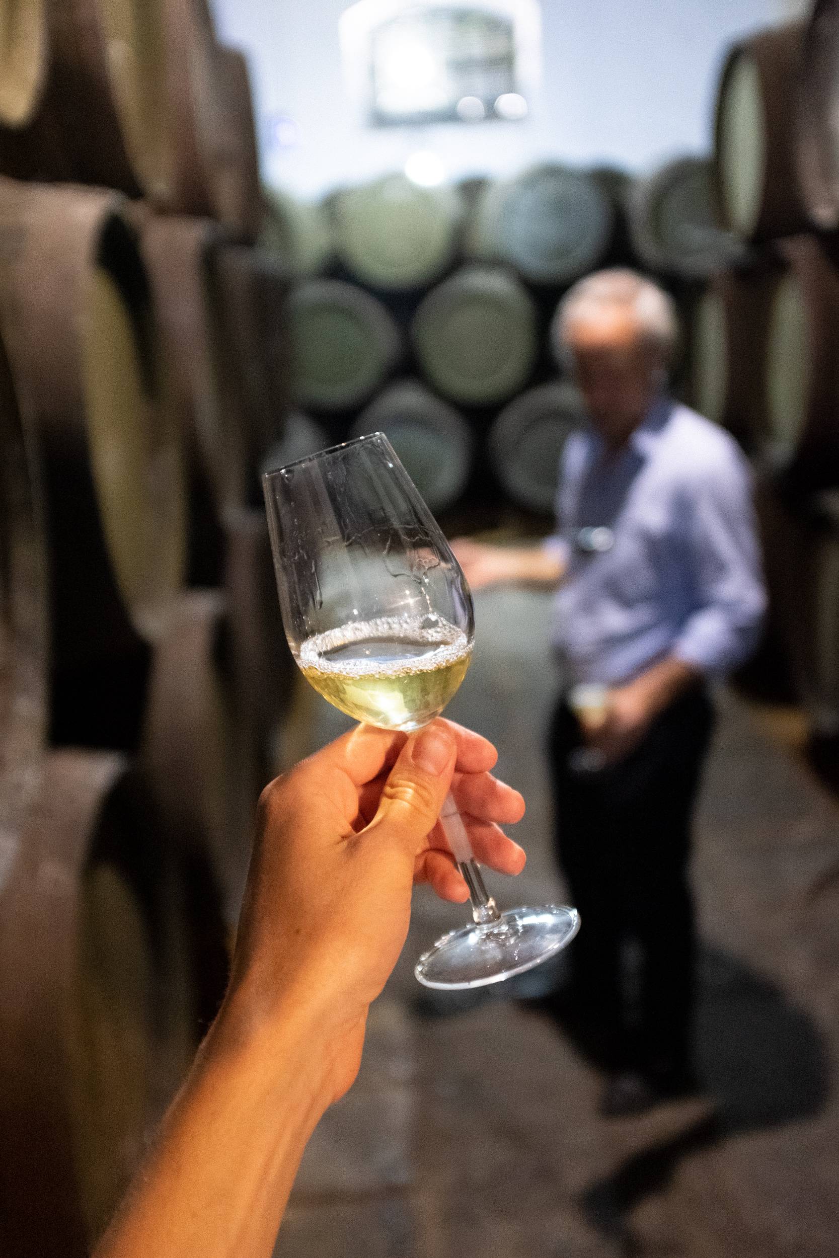 Vodka Laboratory - Maturation Analysis - Quality Assessment