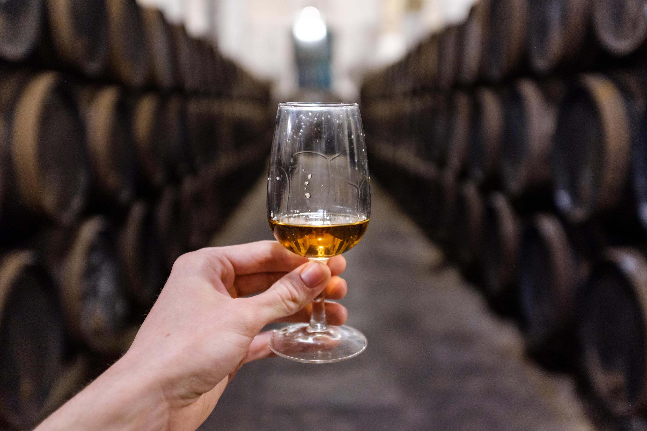 Whisky Laboratory - Maturation Analysis - Quality Assessment